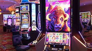 bet58555